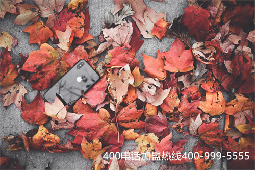 400電話,400電話怎么辦理收費標準