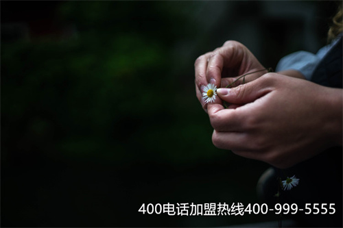 (400電話申請需要多少錢)(怎樣申請400電話去哪里申請)