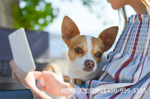 (400電話易號網(wǎng))(400電話一級代理商推薦)