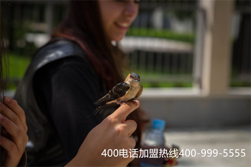 (400電話代理商怎么賺錢)(400電話一級代理商|服務商【對比】)